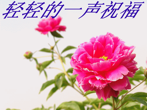c939bedd61e03bbccc116667.gif