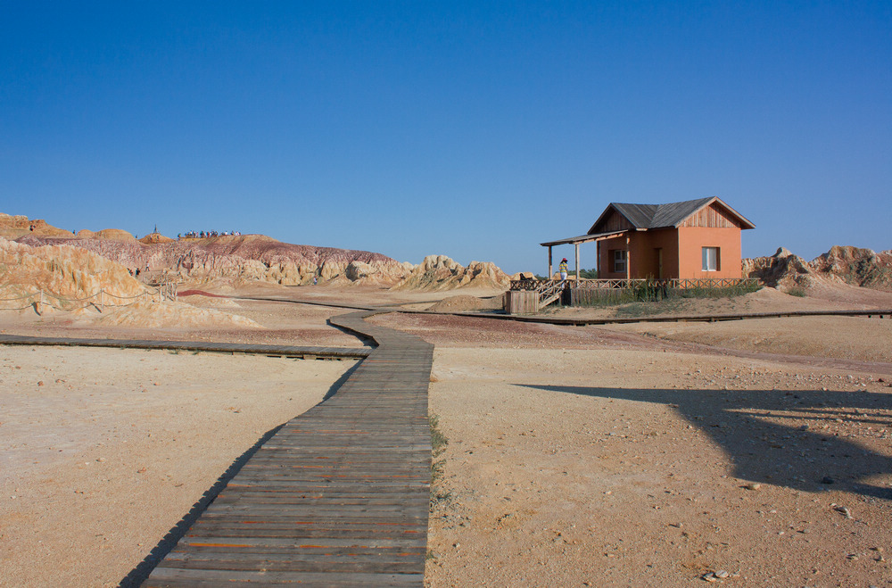 IMG_8043_1.jpg