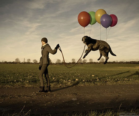 804f1fe0efa908451f0dcfcdb18cdbff.jpg