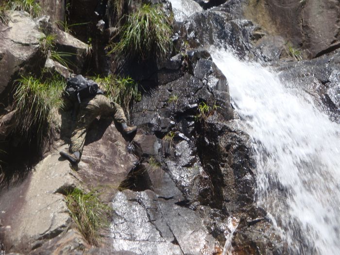 DSC07784.jpg