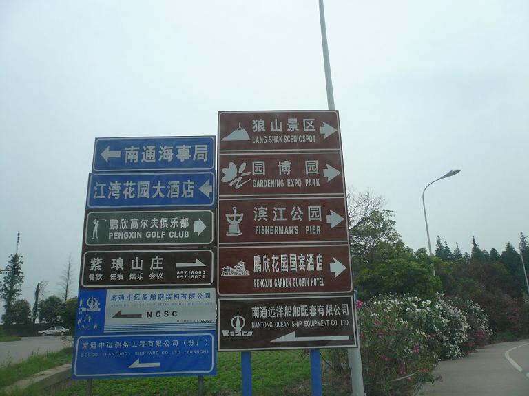 YY.JPG