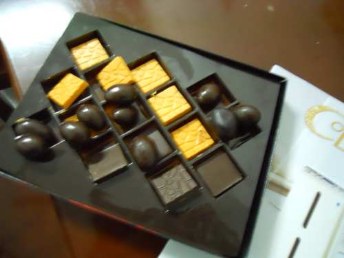 DSCN0437_conew1.jpg