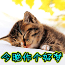 4484}20065166481.gif