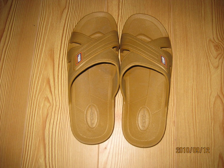 IMG_0808_conew1.jpg