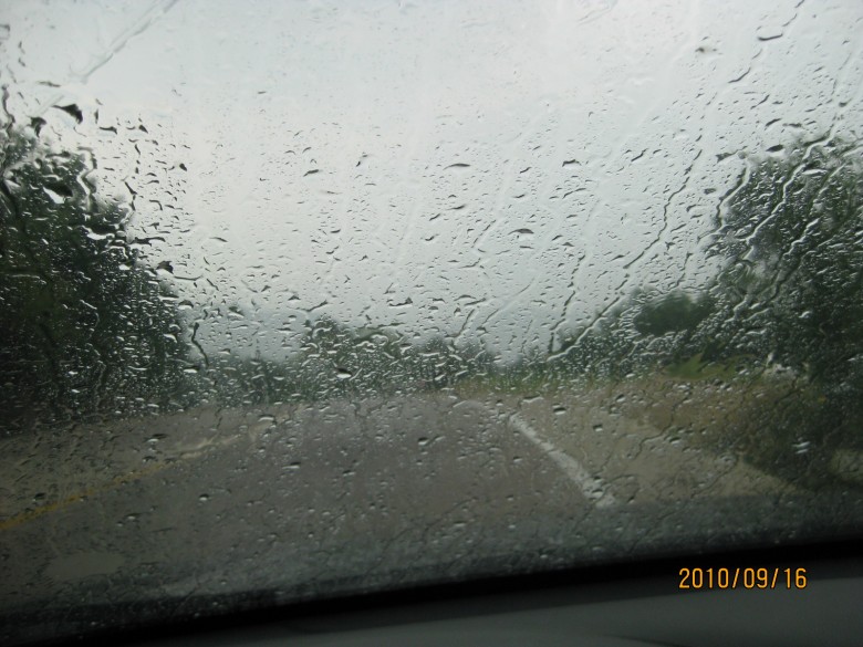 IMG_0910_conew1.jpg