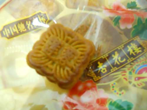 DSCN0490_conew1.jpg