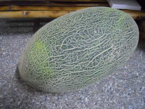 DSCN0488_conew1.jpg