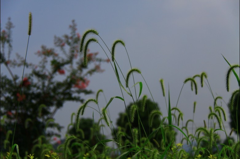 未命名.jpg