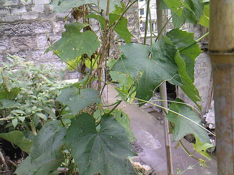 照片-0017.jpg