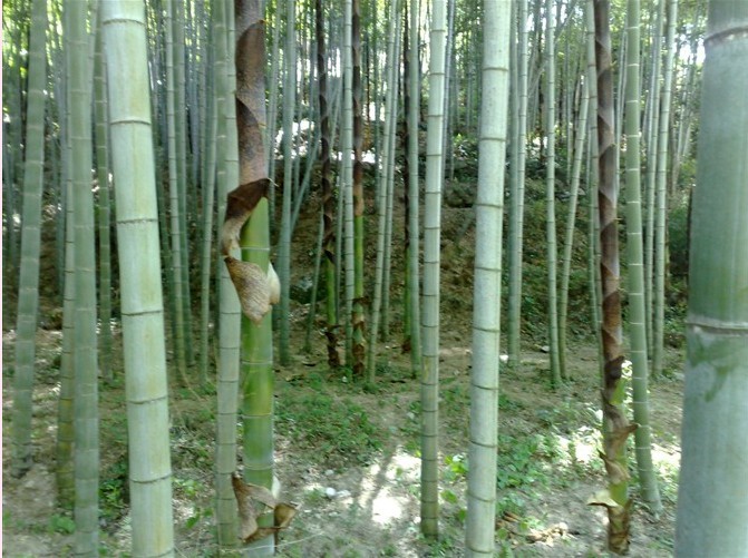 未命名.jpg