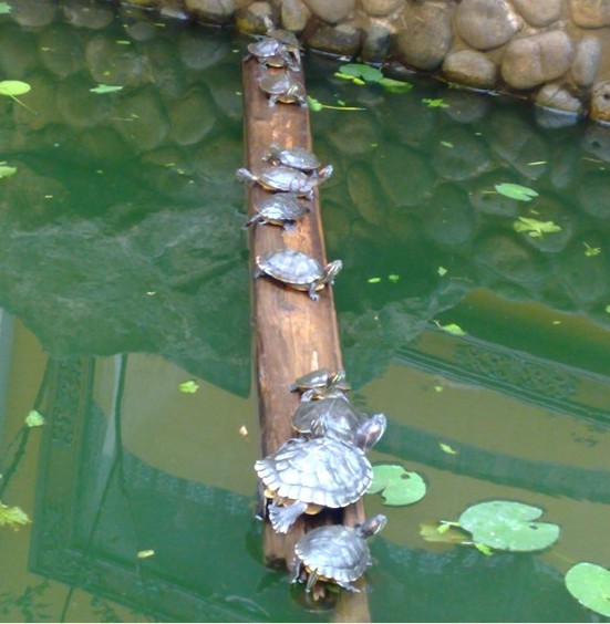 未命名.jpg
