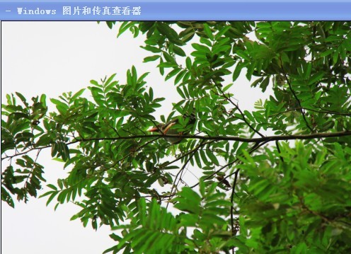未命名.jpg