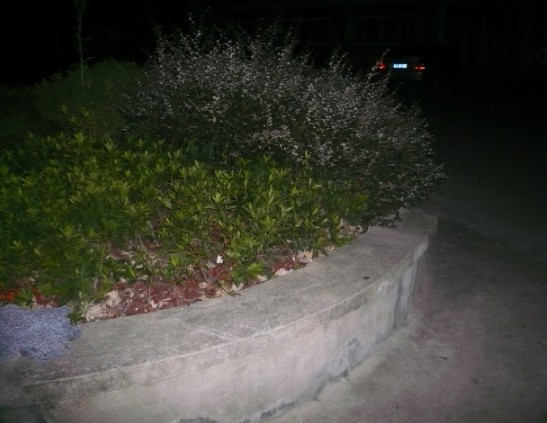 333.jpg