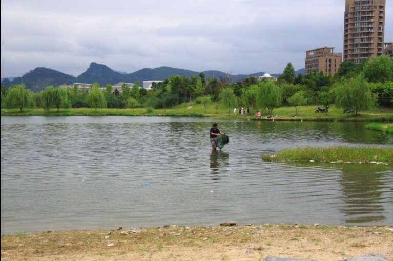 未命名.jpg