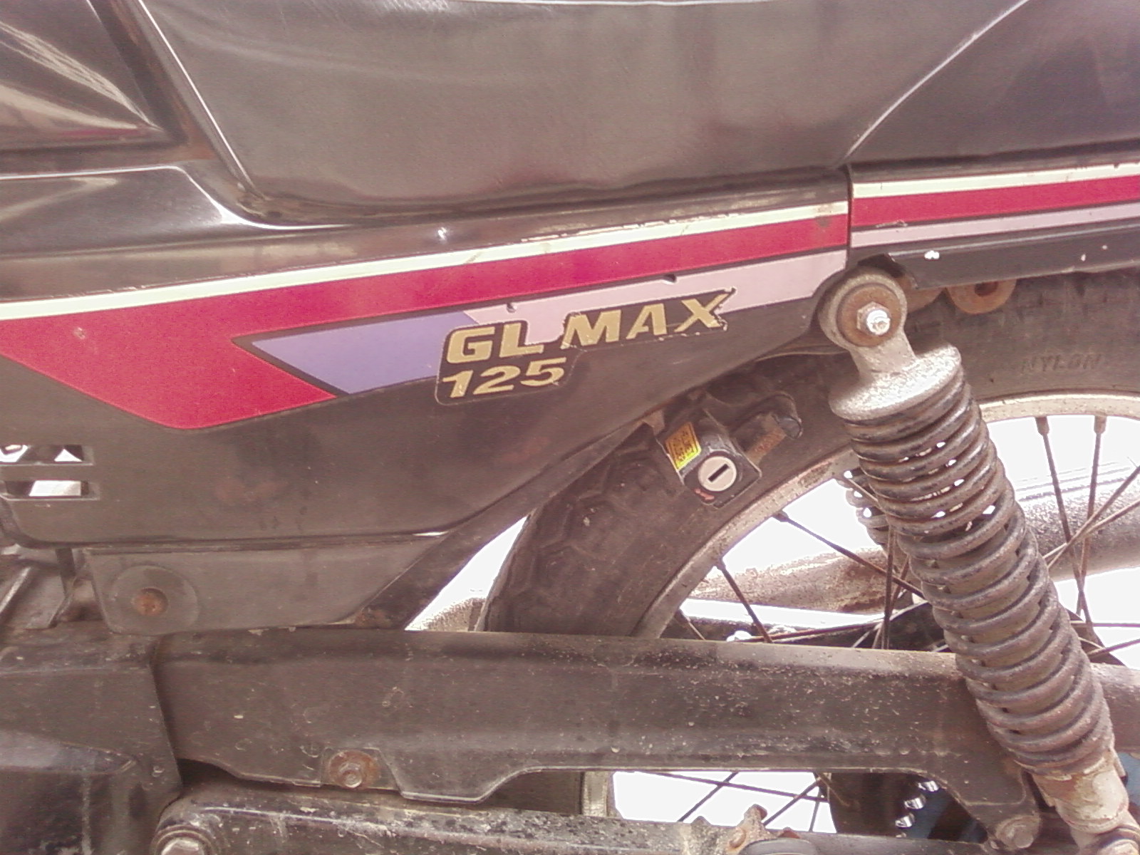 SP_A0872.jpg