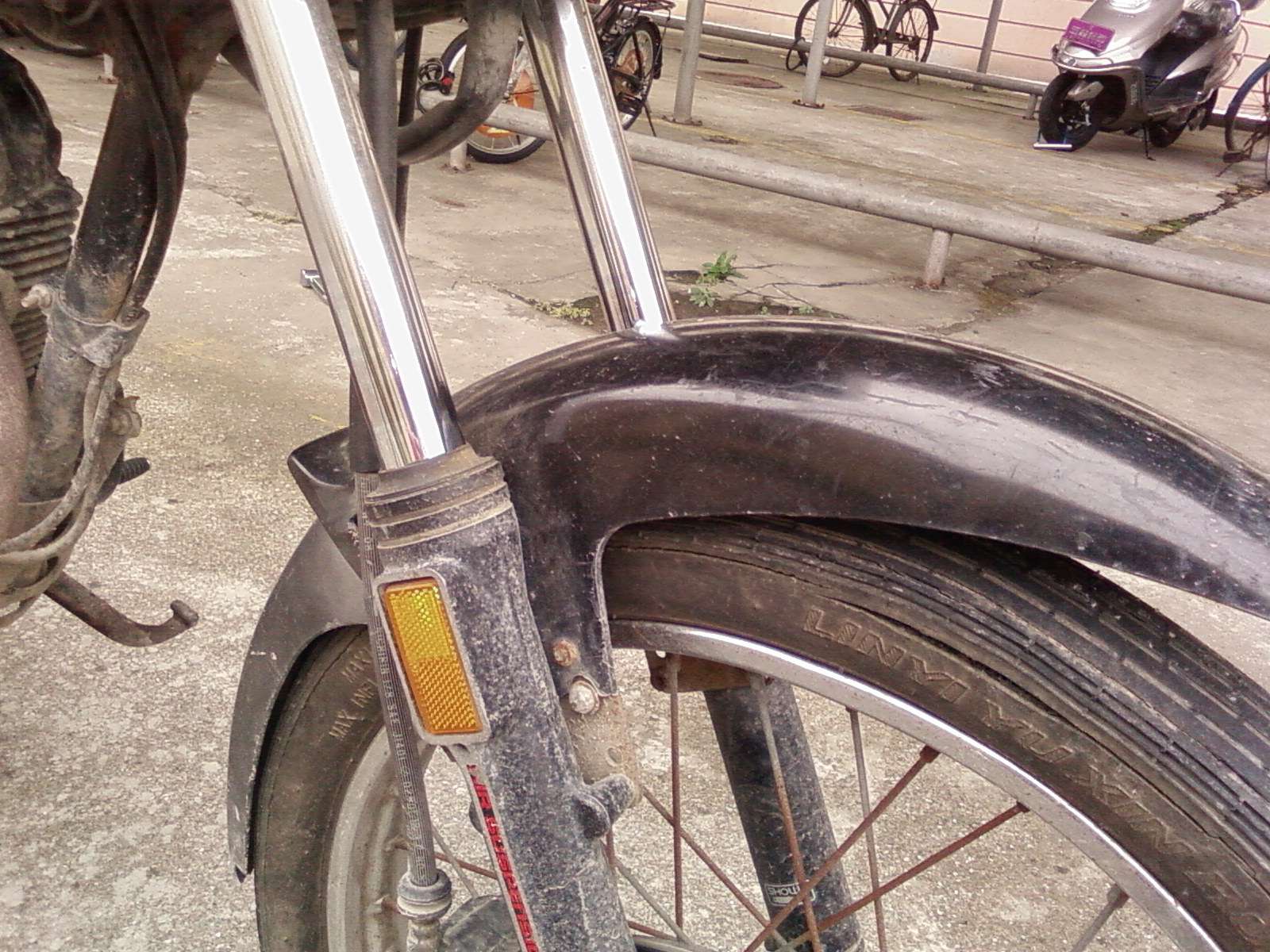 SP_A0874.jpg