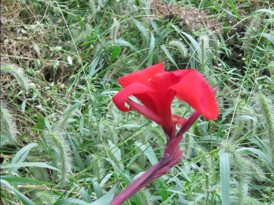 IMG_0329.JPG