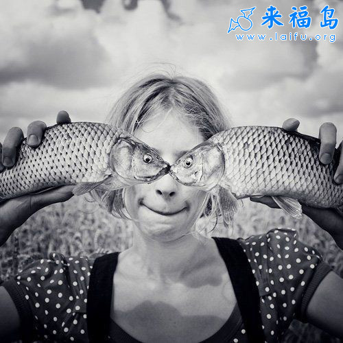 p_large_pnum_2ba40000f2632d0c.jpg