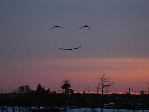 2720a0bafdb13a2c3c8326db30f4dd95.jpg