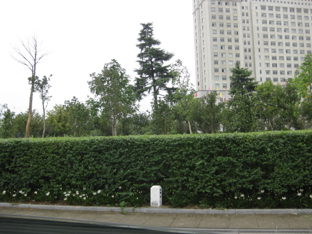 IMG_1257.JPG