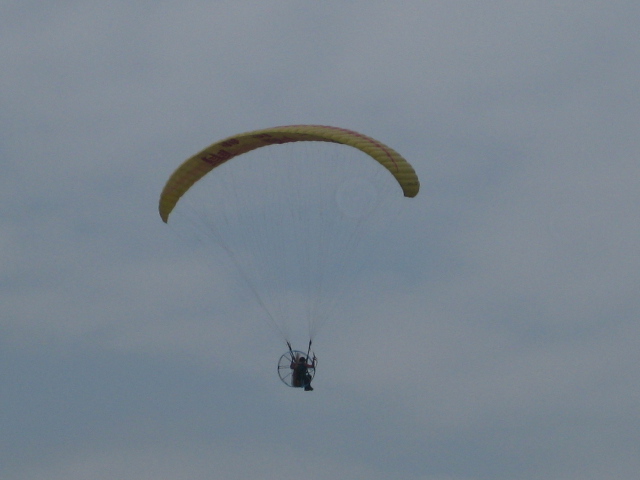 IMG_1390.JPG