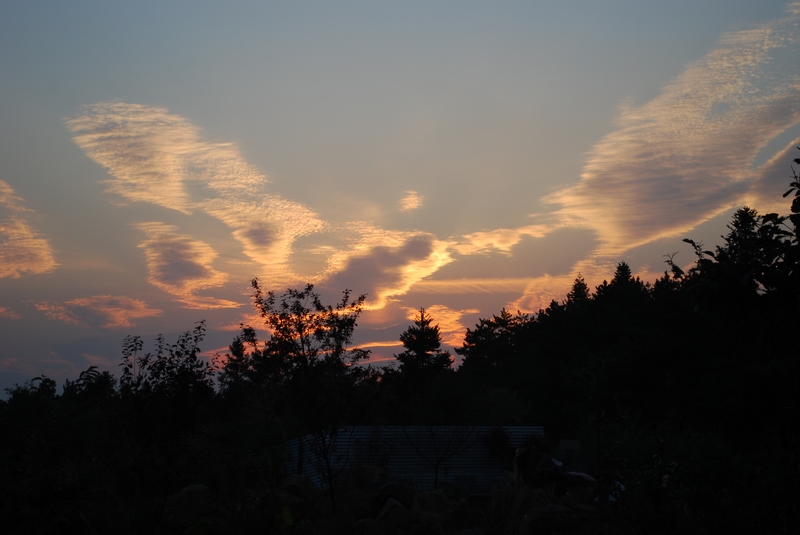 夕阳 (1).jpg