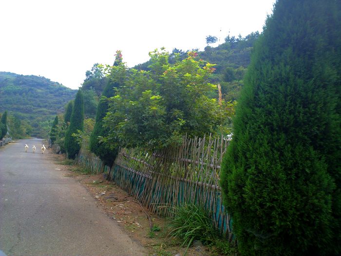20101010807.jpg