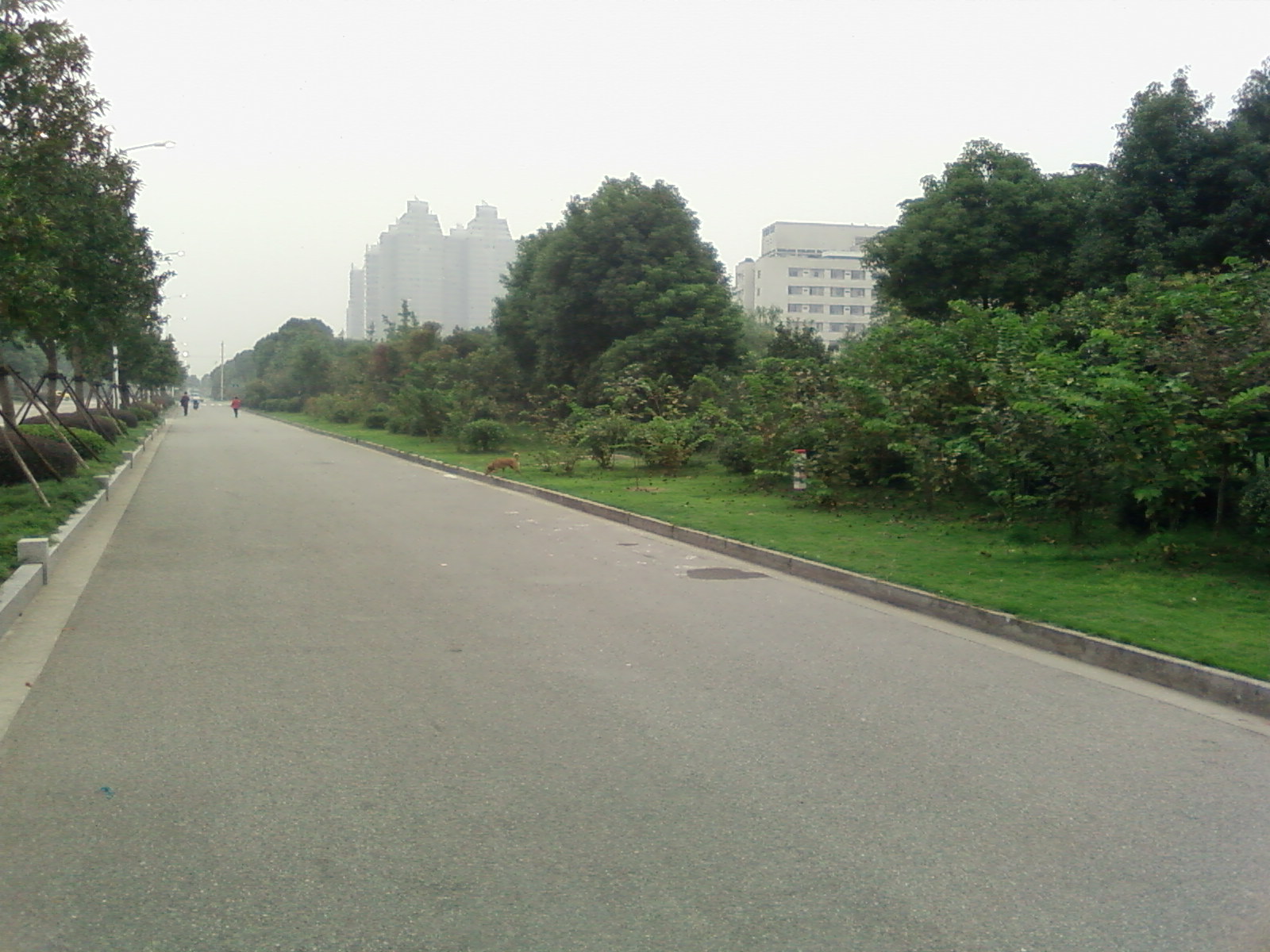 SP_A0913.jpg