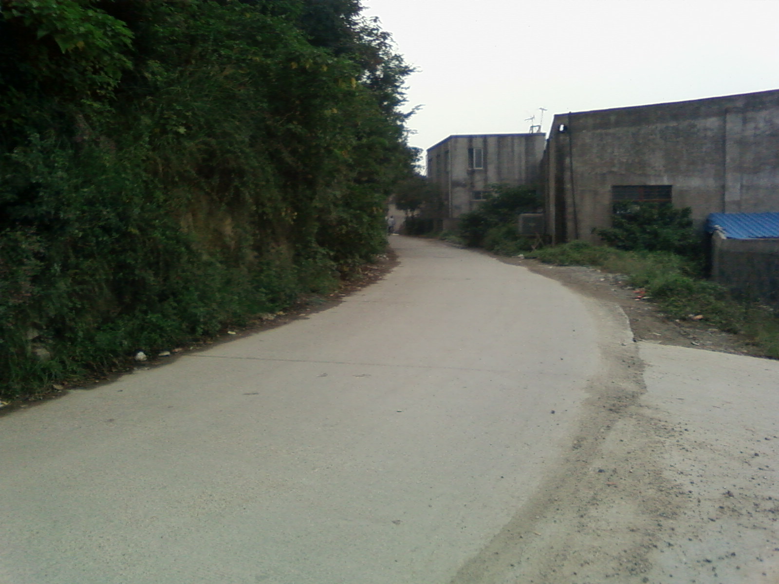 SP_A0931.jpg
