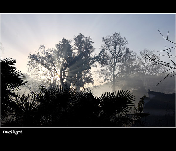 p_large_IxRk_6df500039af72d0e.jpg