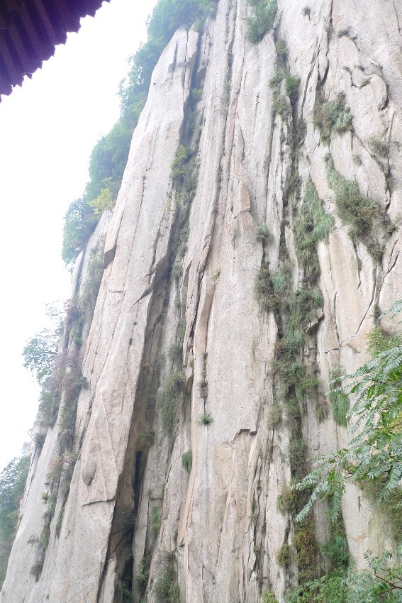 p1060350_副本_副本.jpg