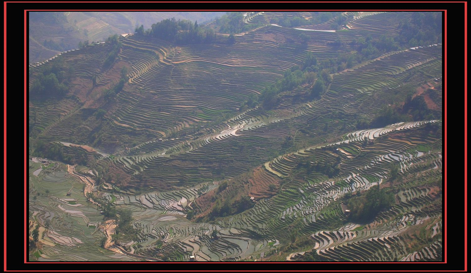 DSCN6904.JPG