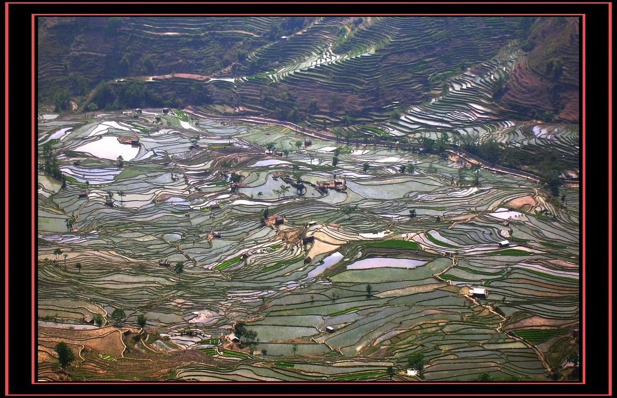 DSCN6910.JPG