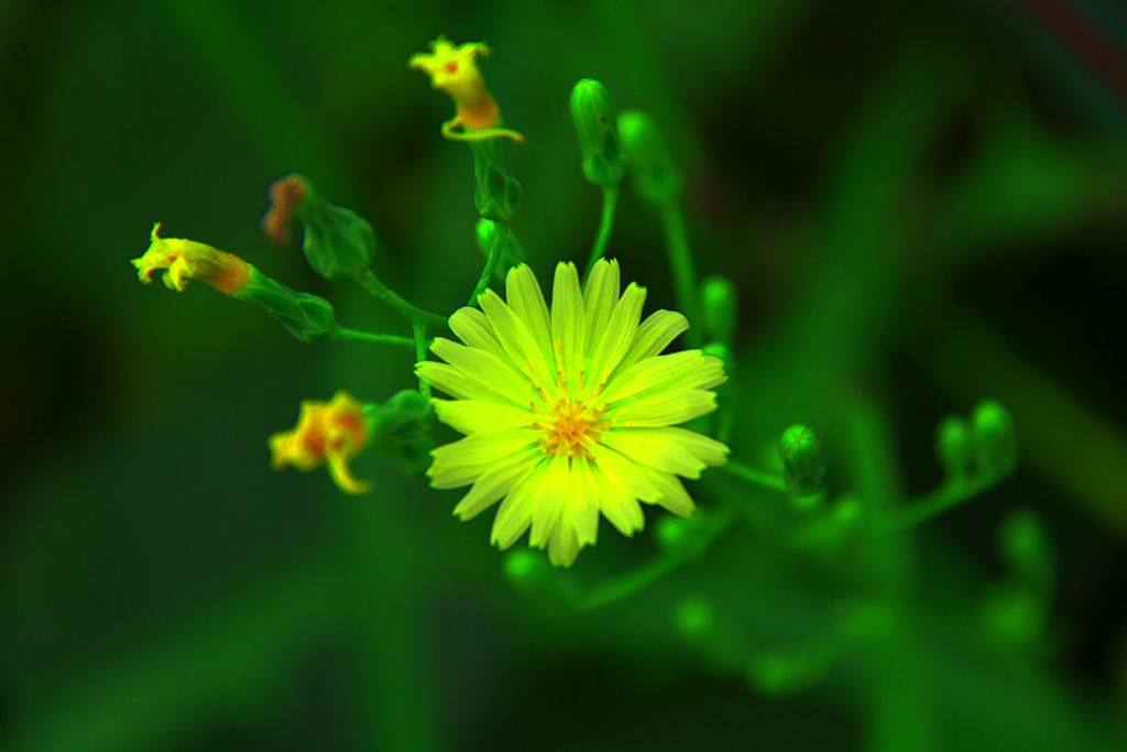 照片 106.jpg