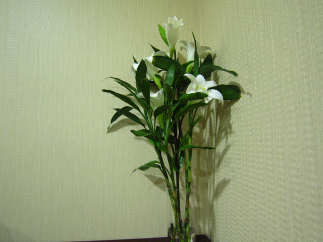 IMG_0164.JPG