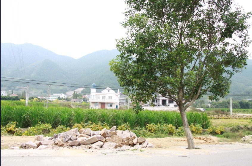 未命名.jpg