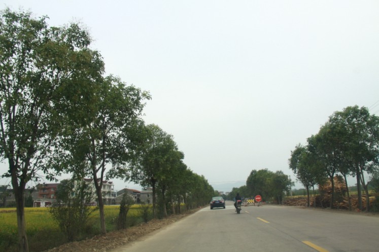 未命名.jpg