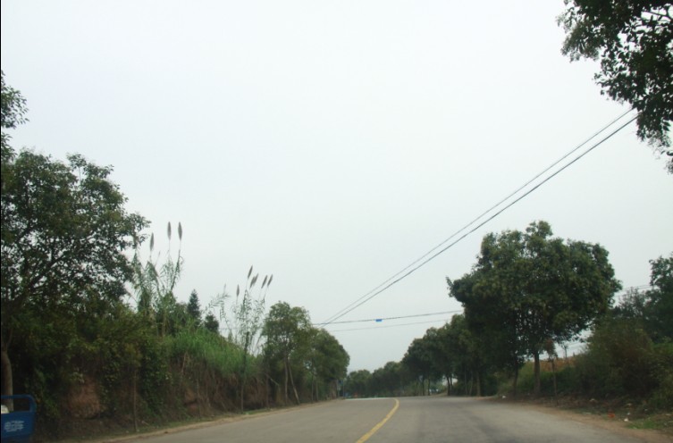未命名.jpg