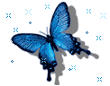 蝶.gif