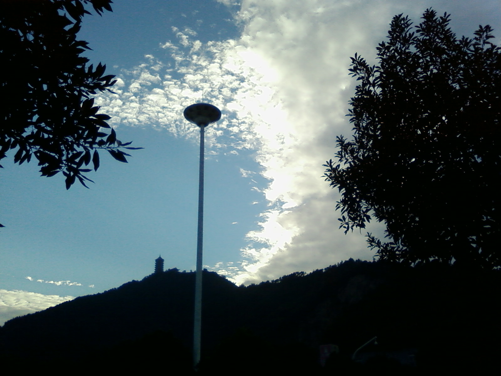 SP_A0998.jpg