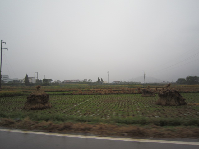 IMG_0779.JPG