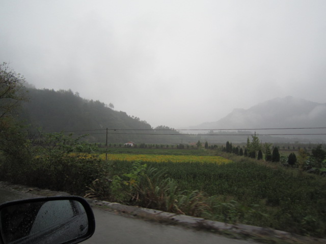 IMG_0814.JPG