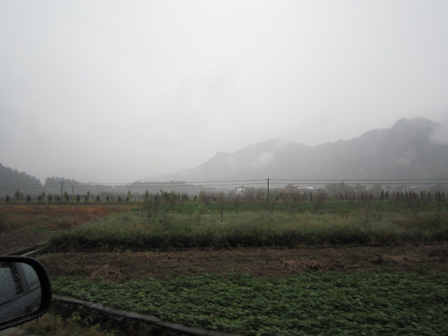 IMG_0811.JPG