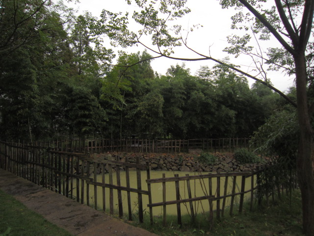 IMG_0827.JPG