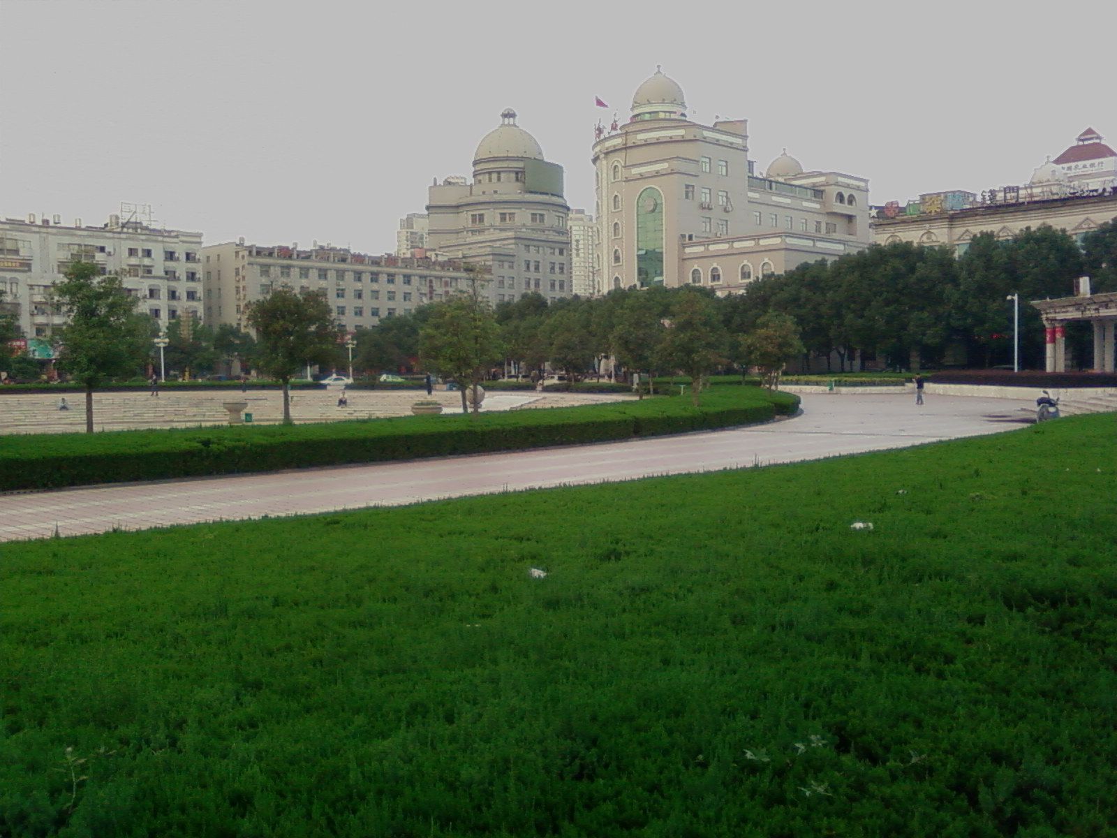 SP_A1009.jpg