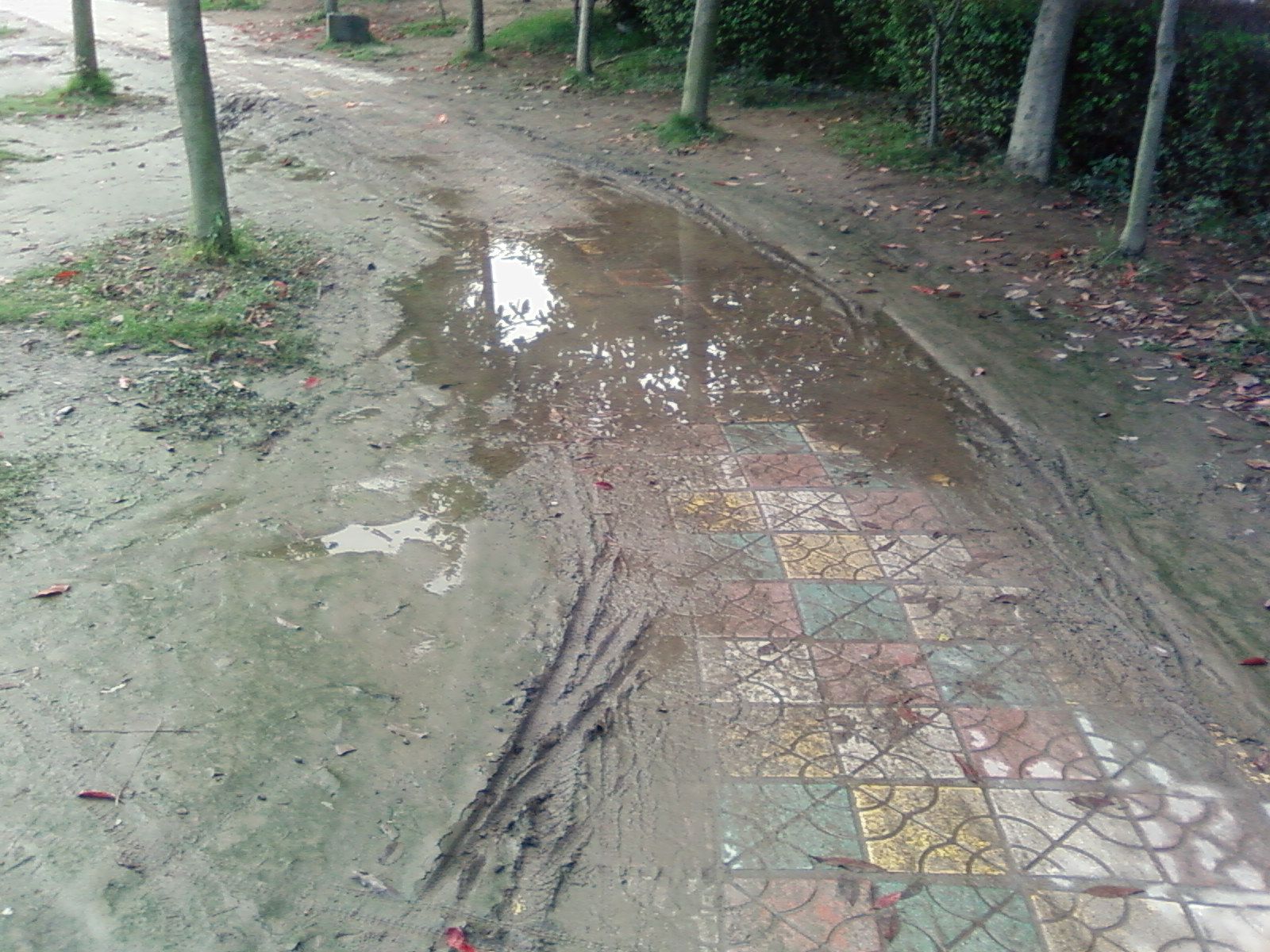 SP_A0999.jpg