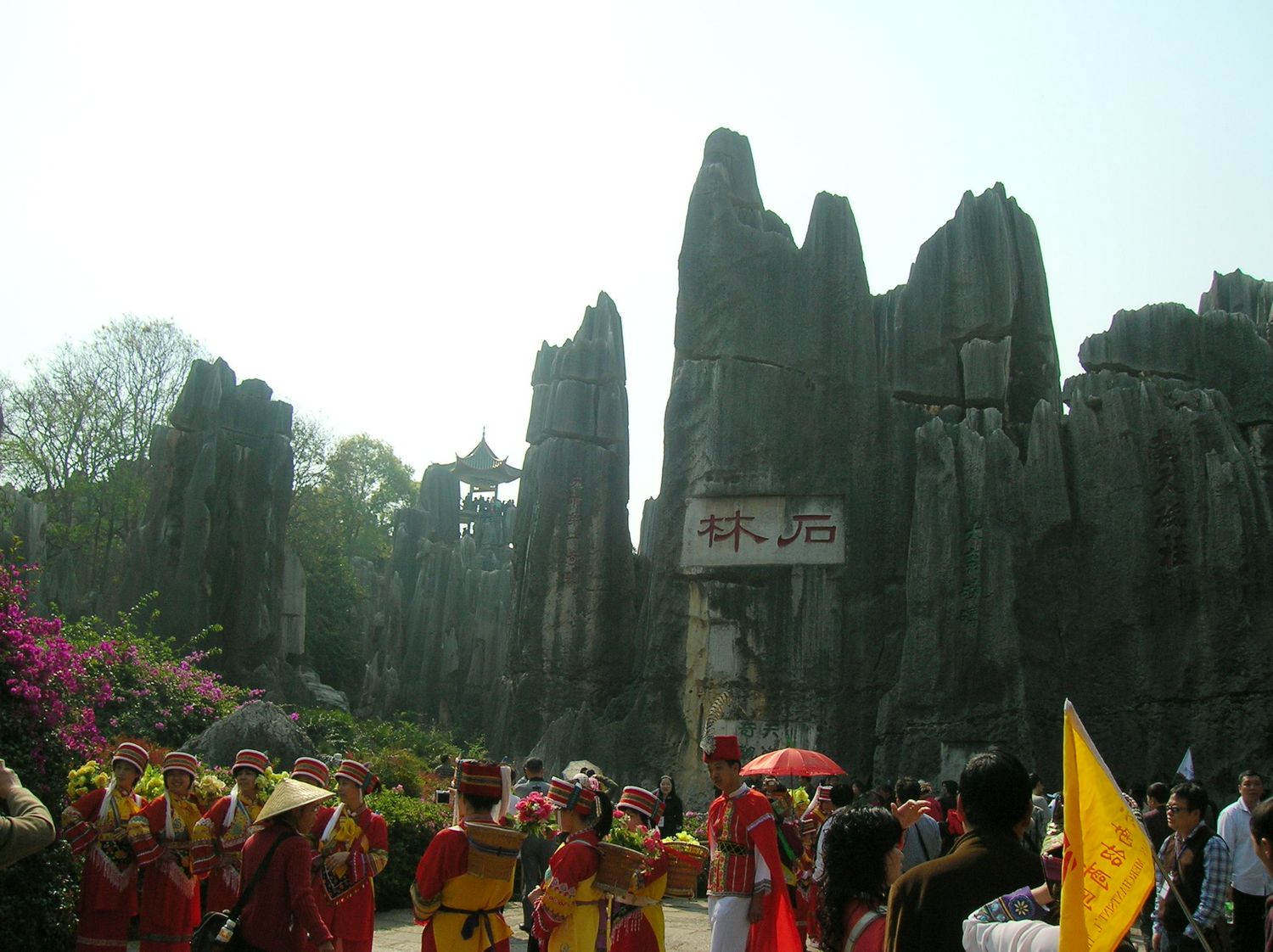 DSCN6541.JPG