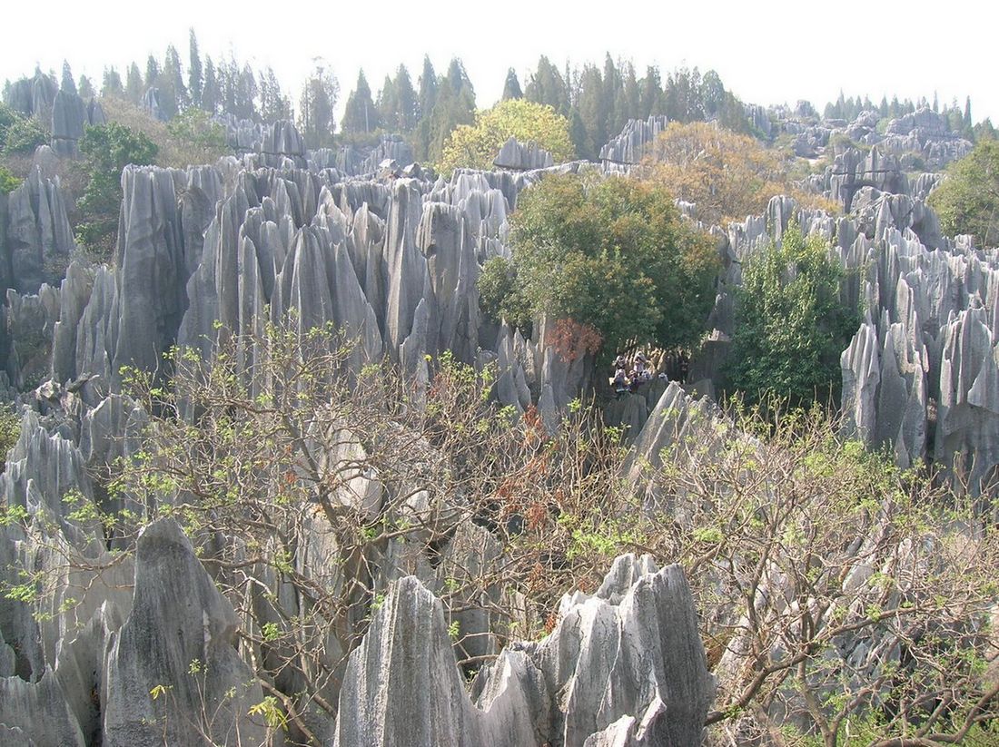 DSCN6589.JPG