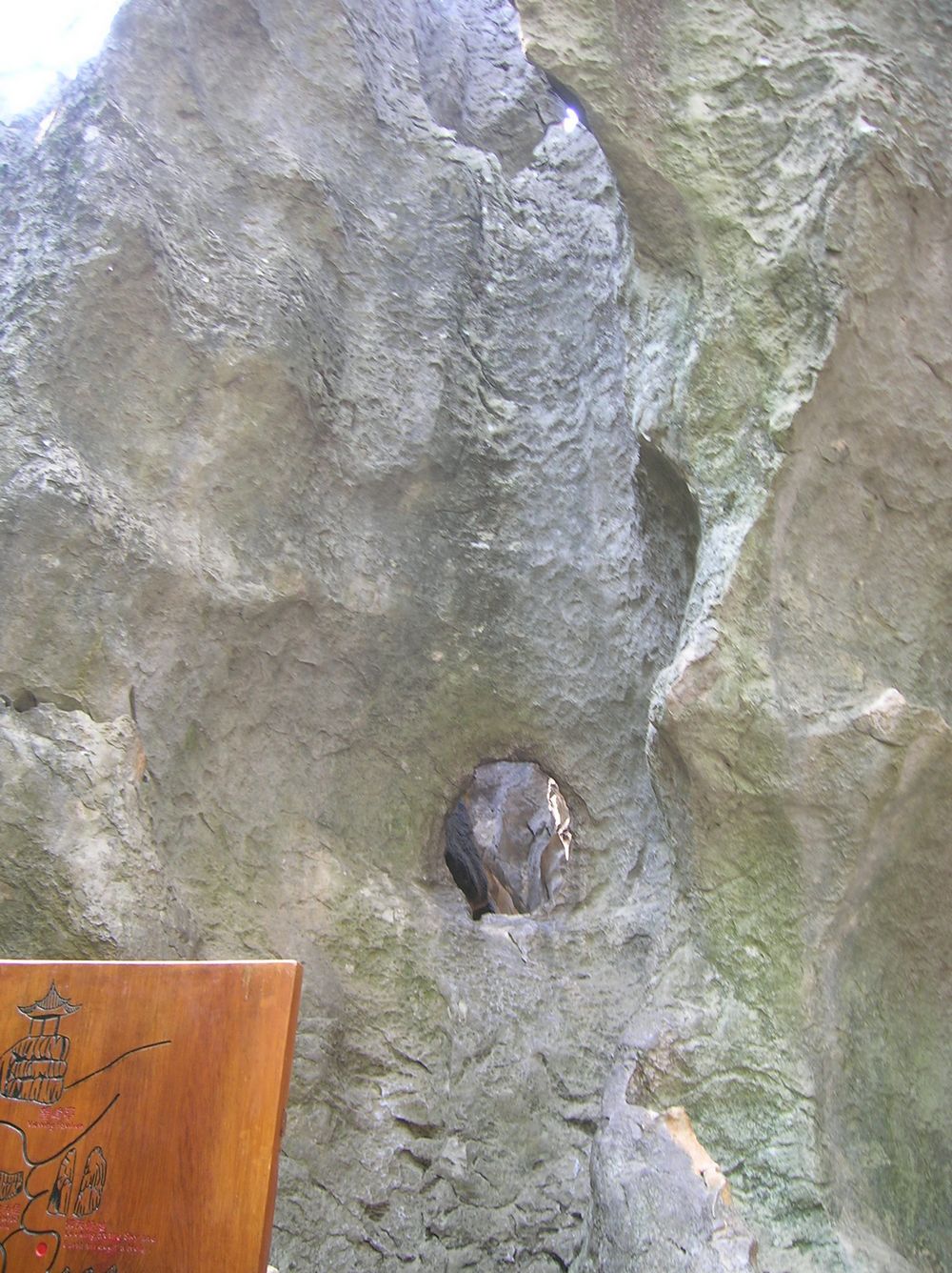 DSCN6563.JPG
