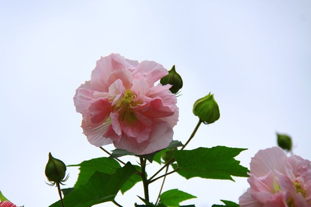 照片 036.jpg